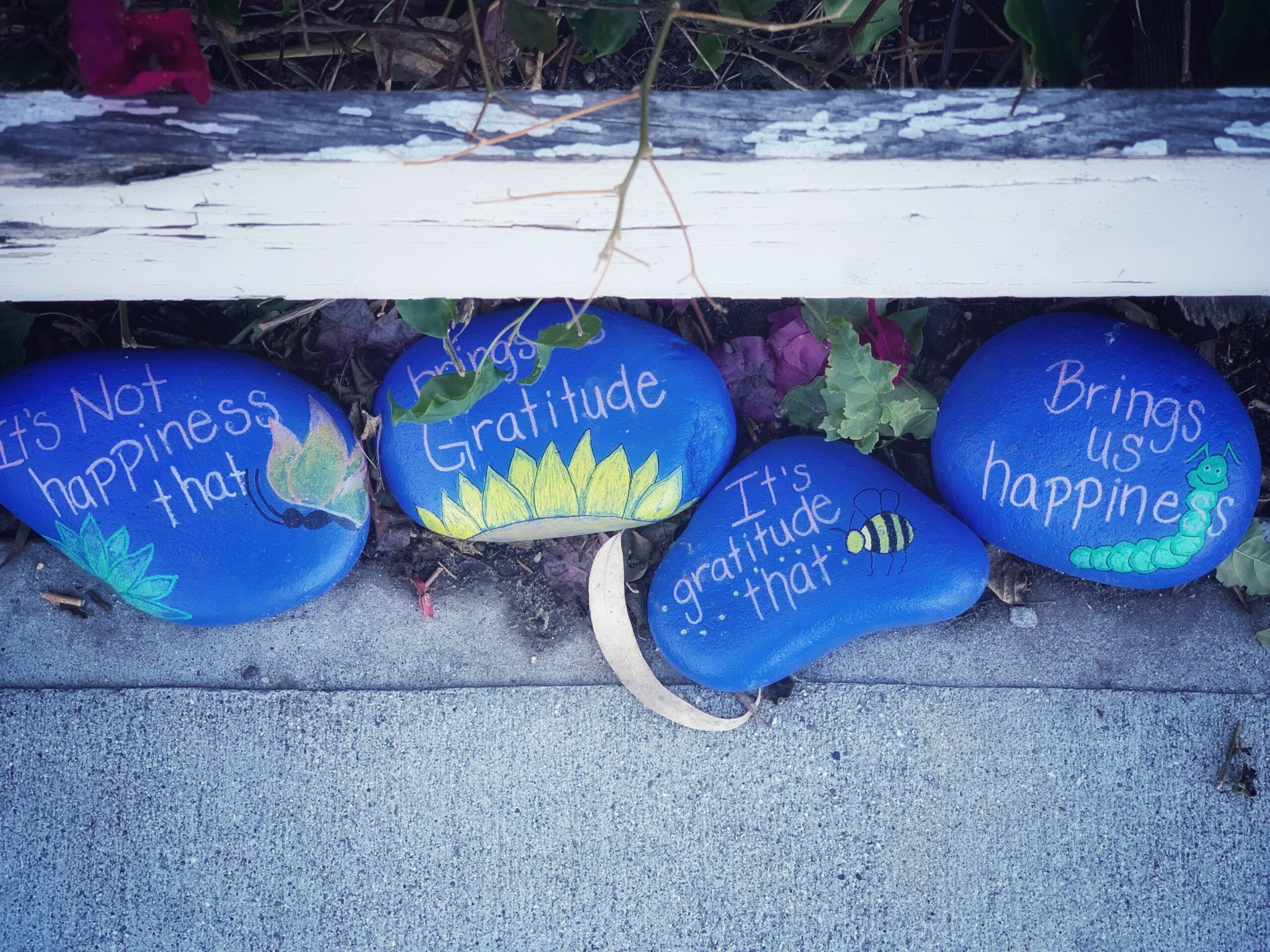 Gratitude as healing, Donald Giannatti (Unsplash)
